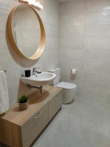 圣塞瓦斯蒂安Ventura Apartment ESS02622的一间带水槽、卫生间和镜子的浴室
