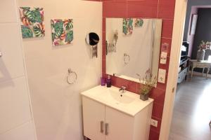 梅里达Apartamentos Nundinae的一间带水槽和镜子的浴室