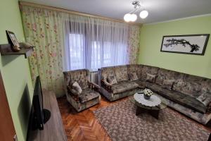别洛瓦尔Apartman Škudar的客厅配有沙发和桌子