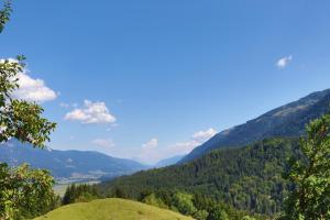 克查赫Gasthof Lamprechtbauer的享有山脉山谷的景色