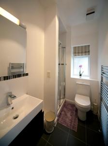 牛津牛津宾馆的一间带水槽和卫生间的浴室以及窗户。
