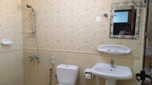 苏尔Sea Hotel Apartment的一间带水槽、卫生间和镜子的浴室