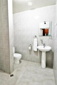 第比利斯Ortachala Palace的一间带水槽、卫生间和镜子的浴室