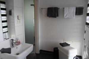 爱尔福特Ferienwohnung am Park的一间带水槽、卫生间和镜子的浴室