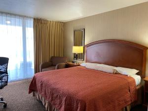 旧金山皇家太平洋汽车旅馆的配有一张床和一把椅子的酒店客房