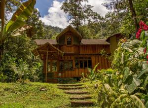 明多Mindo Garden Lodge and Wildlife Reserve的树林中的房屋,有楼梯通往