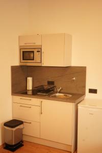 赫恩Vivo Apartments at Hospitals的一间带水槽和微波炉的小厨房