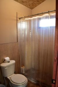 瓜达鲁佩镇Bajo el Sol del Valle的一间带卫生间和淋浴的浴室