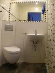 穆特尔斯塔特露丝旅馆的一间带卫生间、水槽和镜子的浴室