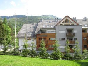 克拉尼斯卡戈拉Apartments Plan Kranjska Gora的一座大房子,背景是一座山