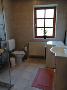 巴特拉德克斯堡Ferienwohnung Michlwirt的一间带水槽和卫生间的浴室以及窗户。