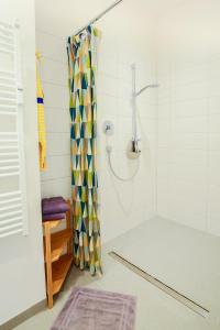 费马恩Appartements Villa Schwanenteich的浴室里配有带色彩缤纷的淋浴帘的淋浴
