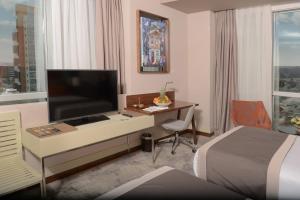 安卡拉Ankara Alegria Business Hotel的酒店客房配有一张书桌、一台电视和一张床