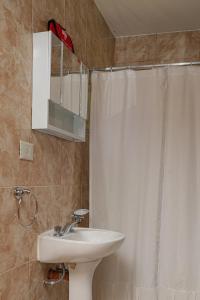 埃尔卡拉法特Cabañas del Arroyo Calafate (CRyPPSC)的浴室设有白色的淋浴帘和水槽