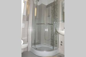 布雷拉Apartment Dandelion的带淋浴、卫生间和盥洗盆的浴室