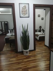 撒马尔罕Guest House Safina-S&D的客厅,地板上放着盆栽植物