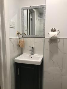 蒙特利尔旅行者之家酒店的一间带水槽和镜子的浴室