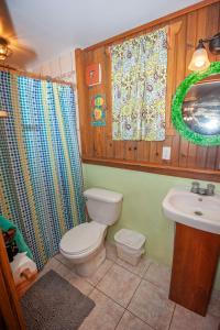 桑迪湾Blue Island Divers Casa Descanso的一间带卫生间和水槽的浴室