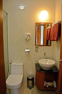 婆罗浮屠曼诺哈拉假日酒店的一间带卫生间、水槽和镜子的浴室