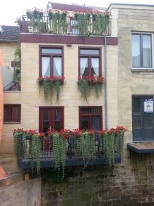 法尔肯堡Gastsuite in Valkenburg aan de Geul的一座有红花和植物的建筑