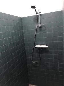 埃因霍温Huis nummer 1的绿色瓷砖浴室设有淋浴头