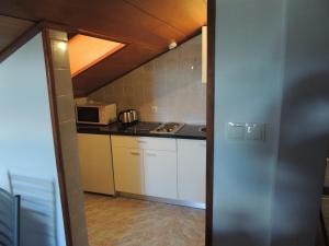 斯塔里格勒萨尔季奇公寓的一间带炉灶和微波炉的小厨房