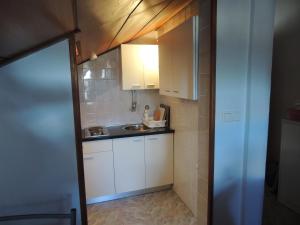 斯塔里格勒萨尔季奇公寓的小厨房配有白色橱柜和水槽