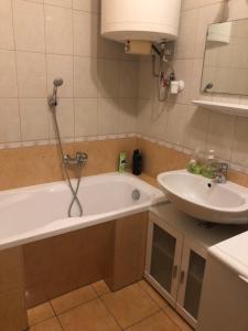迈泽克韦什德Galéria deluxe apartman的带浴缸和盥洗盆的浴室