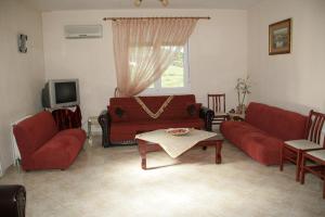 卡斯托里亚Elanthi Hostel kastoria的客厅配有红色沙发和电视
