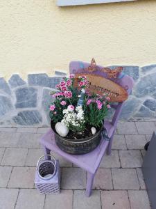 Kohlstettenfewoflagmeier Kohlstetten I Alte Backstube的紫色长凳上挂着盆栽植物