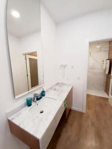 莱里亚Residenza Dutzu - Aparthotel Leiria的白色的浴室设有水槽和镜子