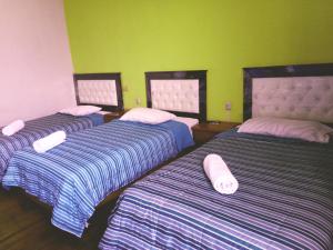阿雷基帕Misti Hostel B&B的绿墙间设有三张床