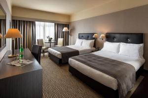 罗马罗马欧洲帕克德伊美第奇假日酒店的酒店客房配有两张床和一张书桌