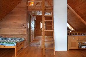 PodjeljePodjelje的一间卧室配有一张双层床和梯子