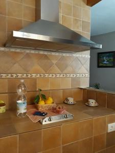 埃尔博斯克Apartamento Casa Romero的厨房柜台配有水槽和一碗水果