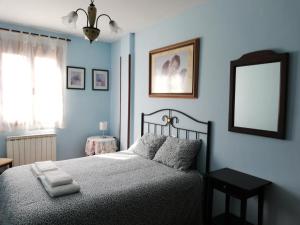 桑托多明戈德锡洛斯Casa Rural Las Condesas的一间蓝色卧室,配有一张床和镜子