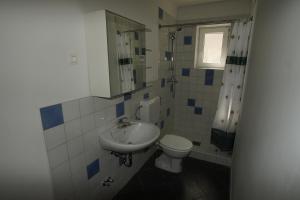 博维茨Chalet Alpina的一间带水槽和卫生间的浴室