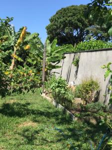 弗洛里亚诺波利斯A Casinha的堆满植物的院子中的围栏