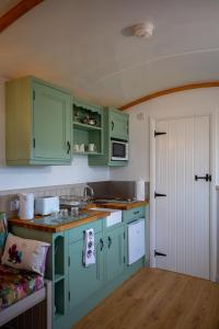恩尼斯基林Shepherd Hut Bird Enniskillen, Fermanagh的厨房配有绿色橱柜和白色家电