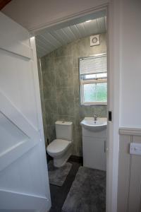 恩尼斯基林Shepherd Hut Bird Enniskillen, Fermanagh的一间带卫生间和水槽的浴室