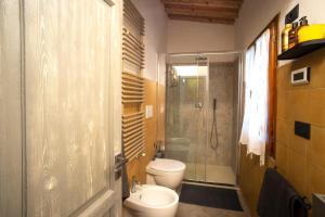 佛罗伦萨Silvia in S.Reparata的一间带卫生间和玻璃淋浴间的浴室