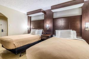 休斯顿Rodeway Inn & Suites Houston near Medical Center的酒店客房,设有两张床和木墙