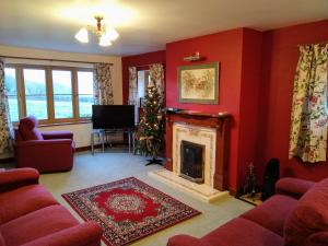 波马利斯Llinos Cottage的客厅设有壁炉和圣诞树