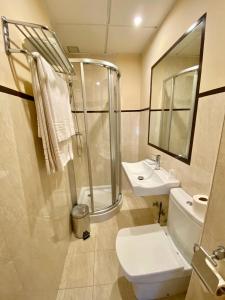 马尔托斯Hotel Fernando IV的带淋浴、卫生间和盥洗盆的浴室