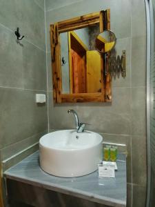 瓦迪穆萨Infinity Lodge的一间带水槽和镜子的浴室