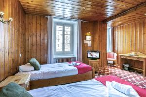 夏蒙尼-勃朗峰霞慕尼酒店的一间卧室配有两张床和电视。