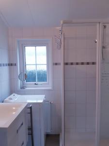 德哈恩Zeepark Haerendyke的白色的浴室设有水槽和淋浴。