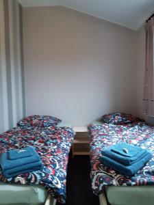 德哈恩Zeepark Haerendyke的两张睡床彼此相邻,位于一个房间里