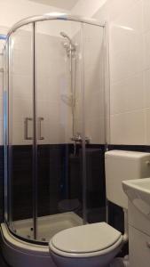 苏提万Dalmatino - apartment 6的一间带卫生间和玻璃淋浴间的浴室