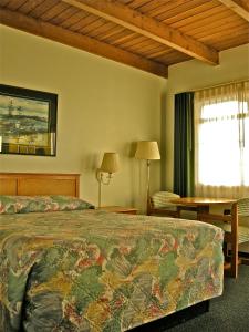 戈尔德比奇阿德利亚旅馆的酒店客房配有一张床铺和一张桌子。